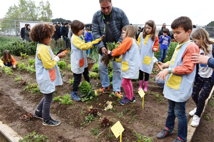 En marxa “Aprendre a l’hort de l’escola”,  un projecte pedagògic i d’inclusió social